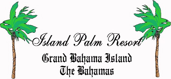 Welcome to Island Palms